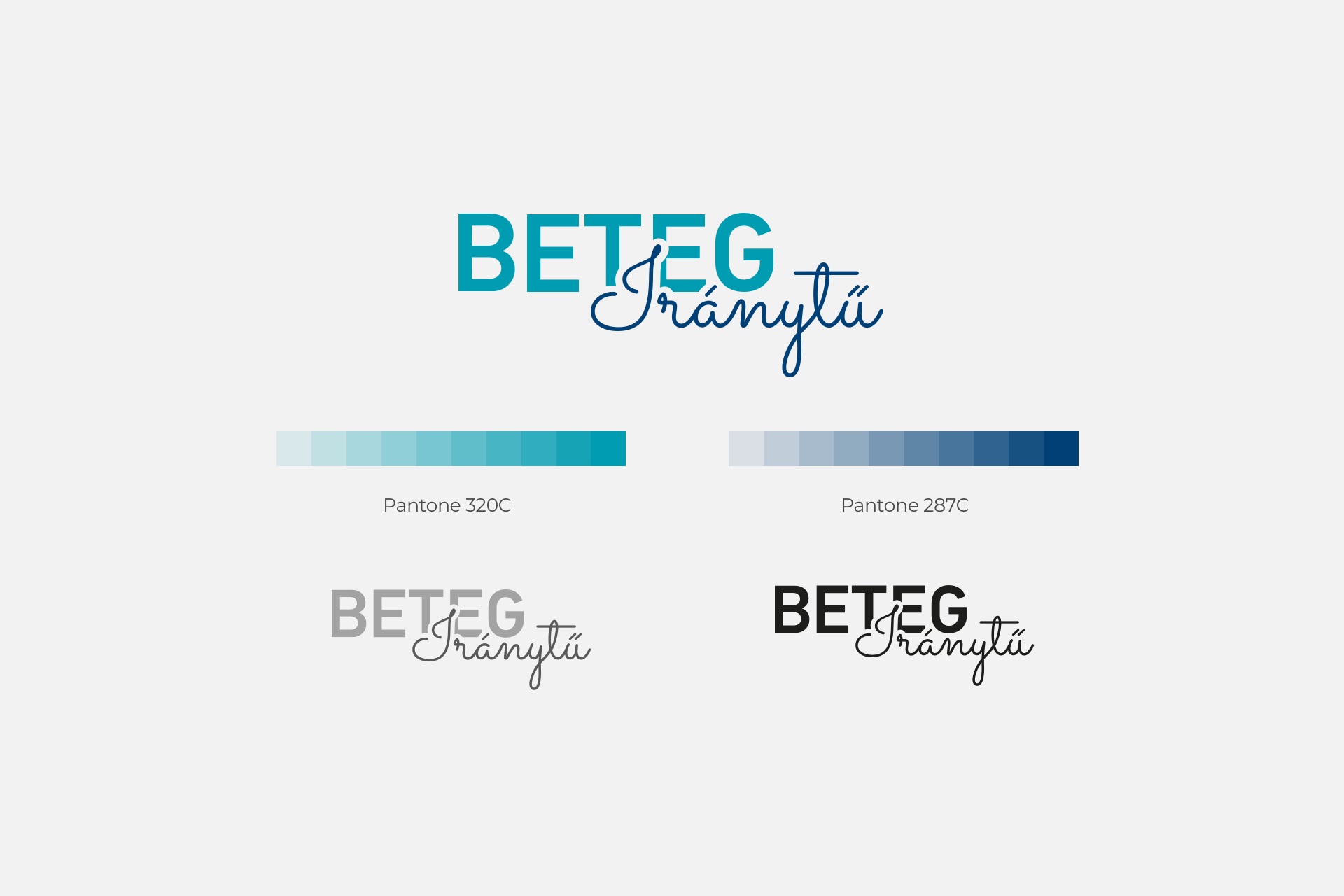 Betegiránytű v1.0